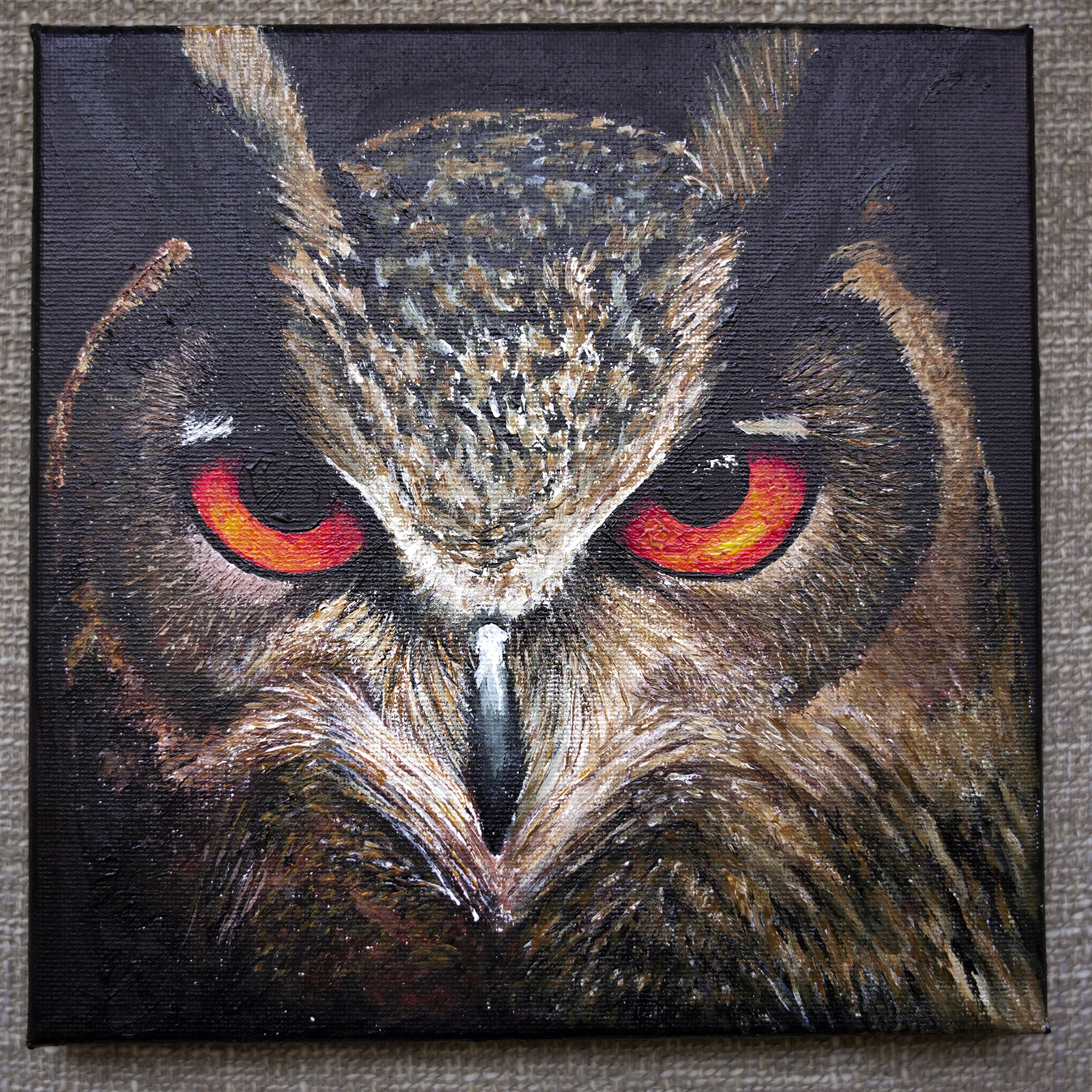 Owl Study